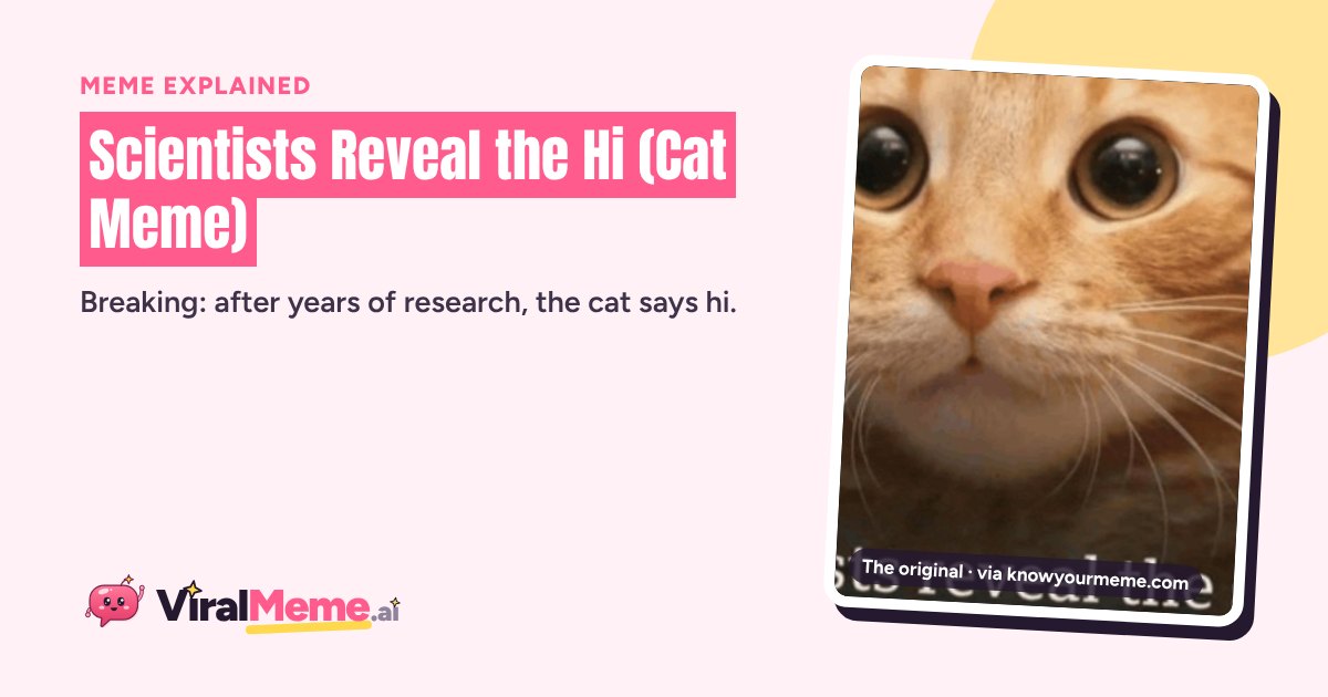 Scientists Reveal the Hi: The Fake BBC Cat Meme Explained | ViralMeme.ai
